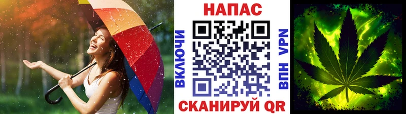 Марихуана Bruce Banner  Кущёвская 